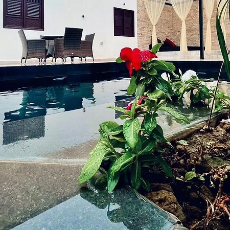 فندق و شاليهات القصر صلالة The Palace Hotel Salalah Apartment & Chalet-3